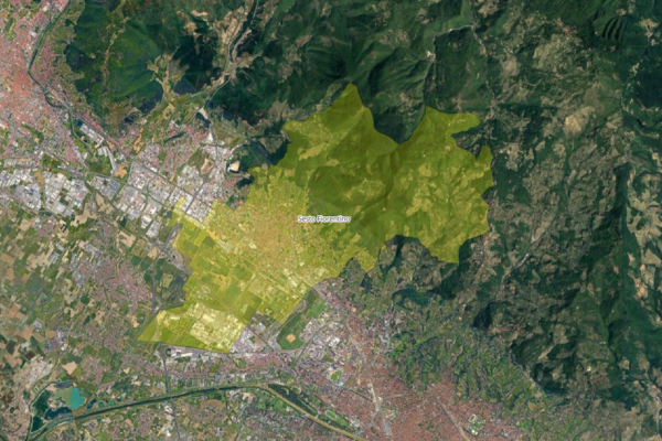 C2143 sesto fiorentino